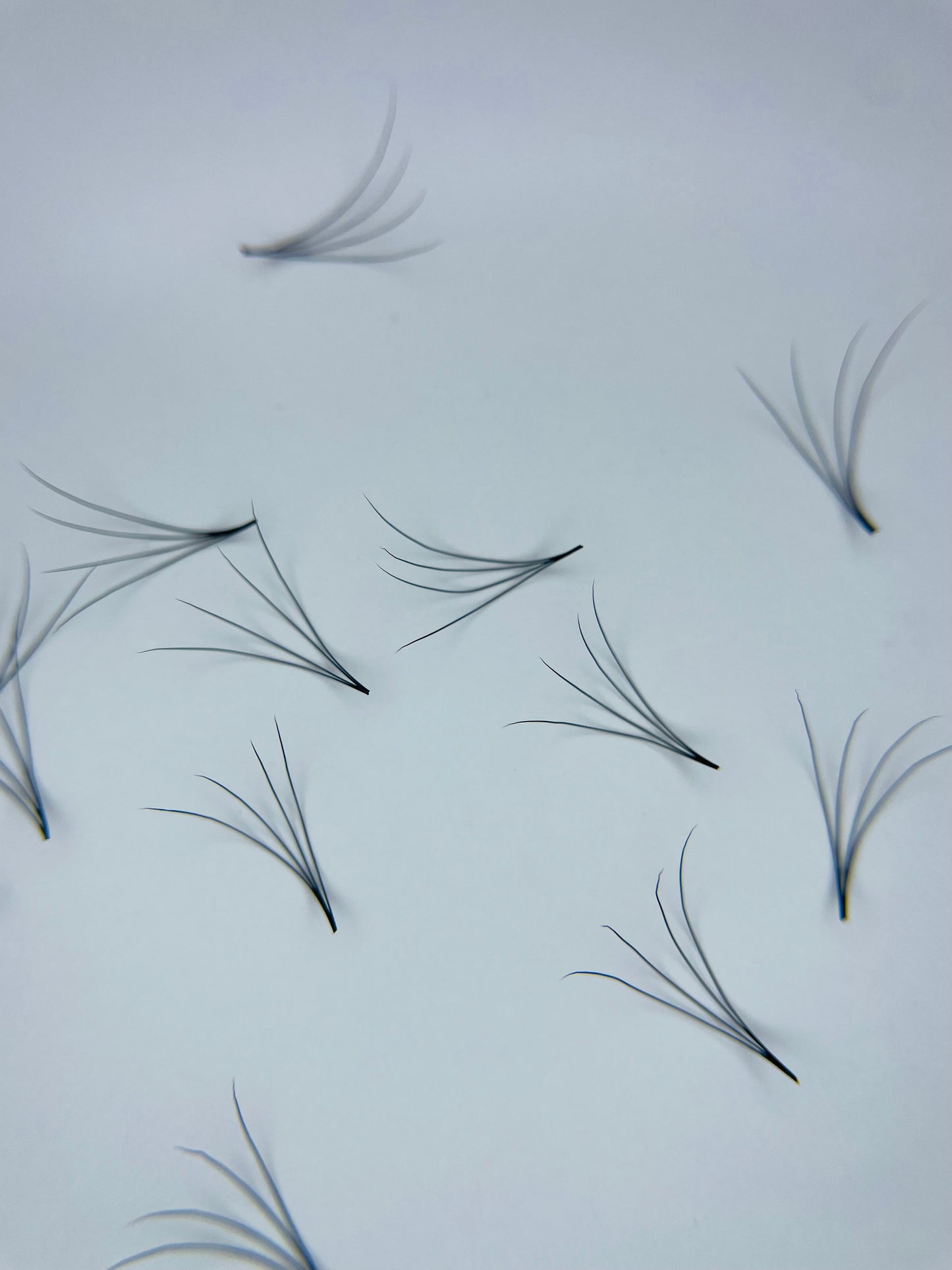 4D Promade - 1000 Loose Fans
