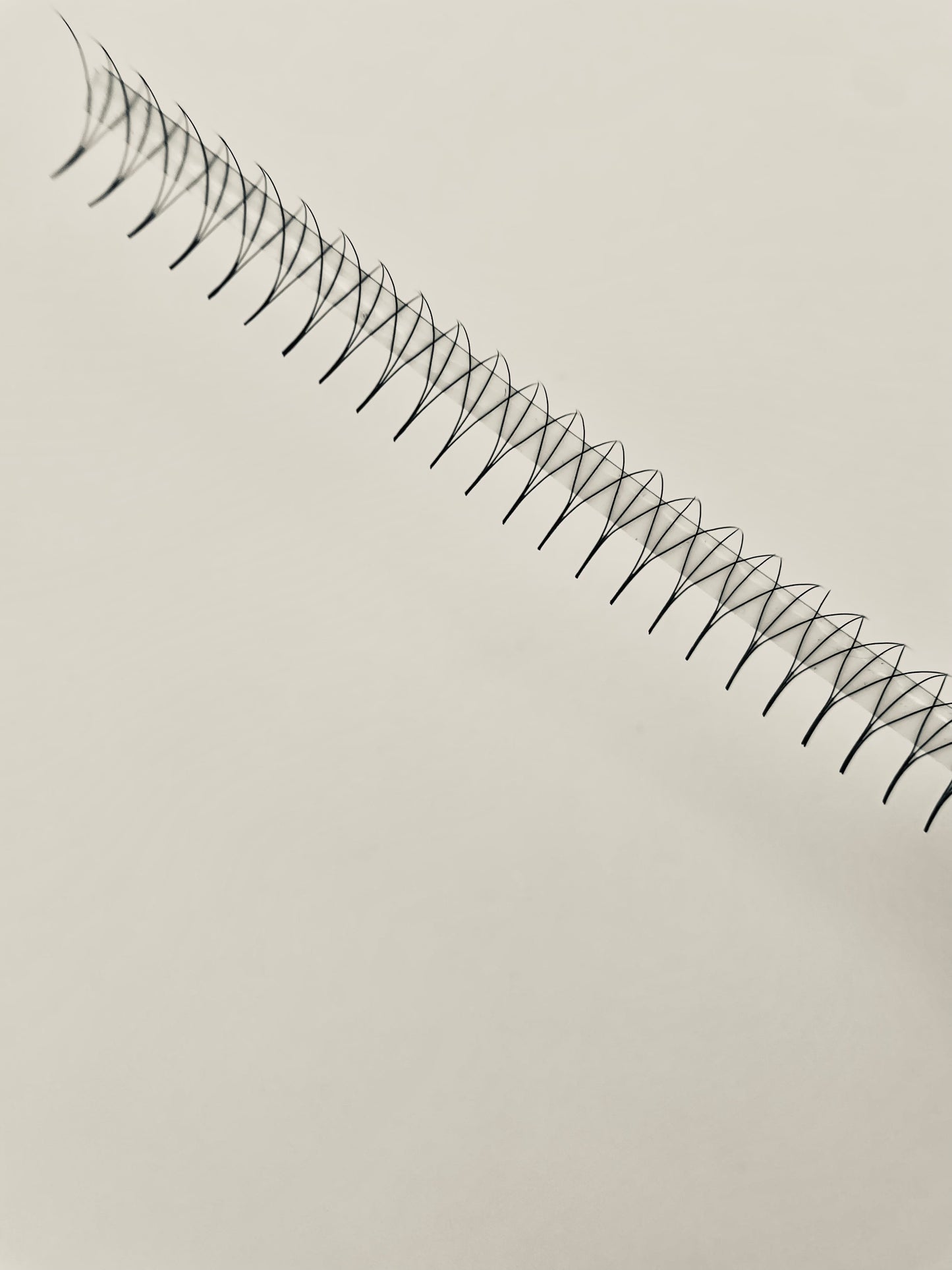 3D Promade - 1000 Rapid Fans