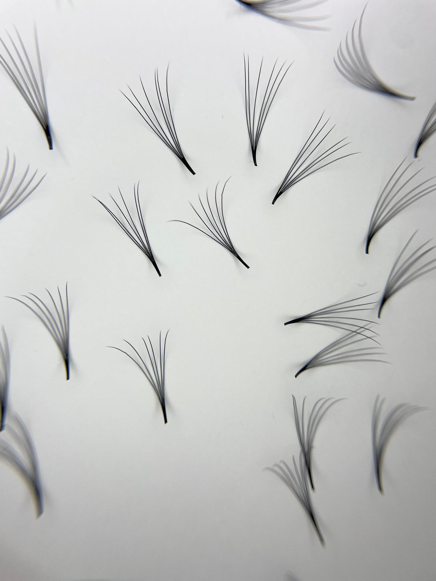 6D Narrow - Pointy Base Loose Fans