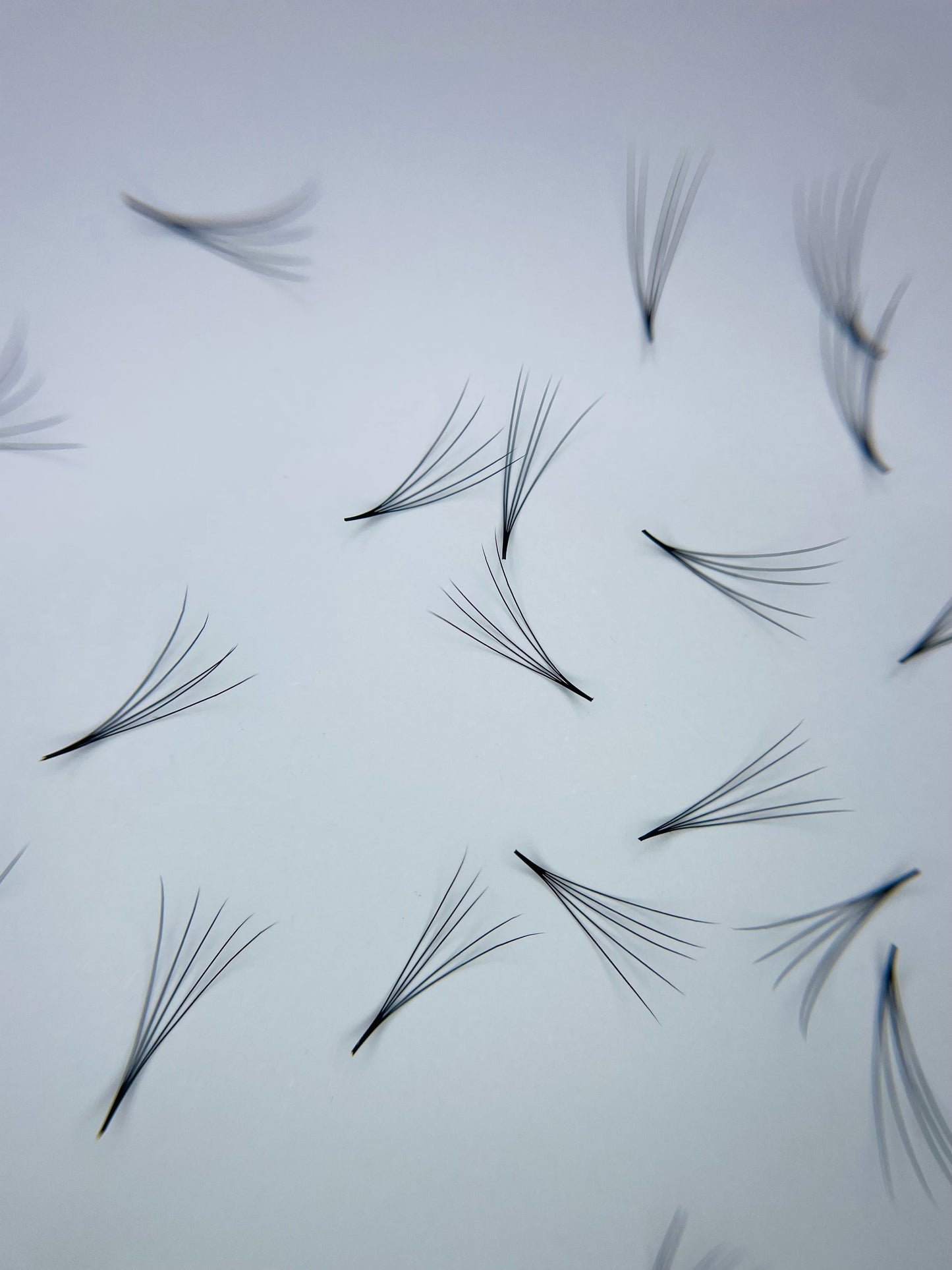 5D Narrow - Pointy Base Loose Fans