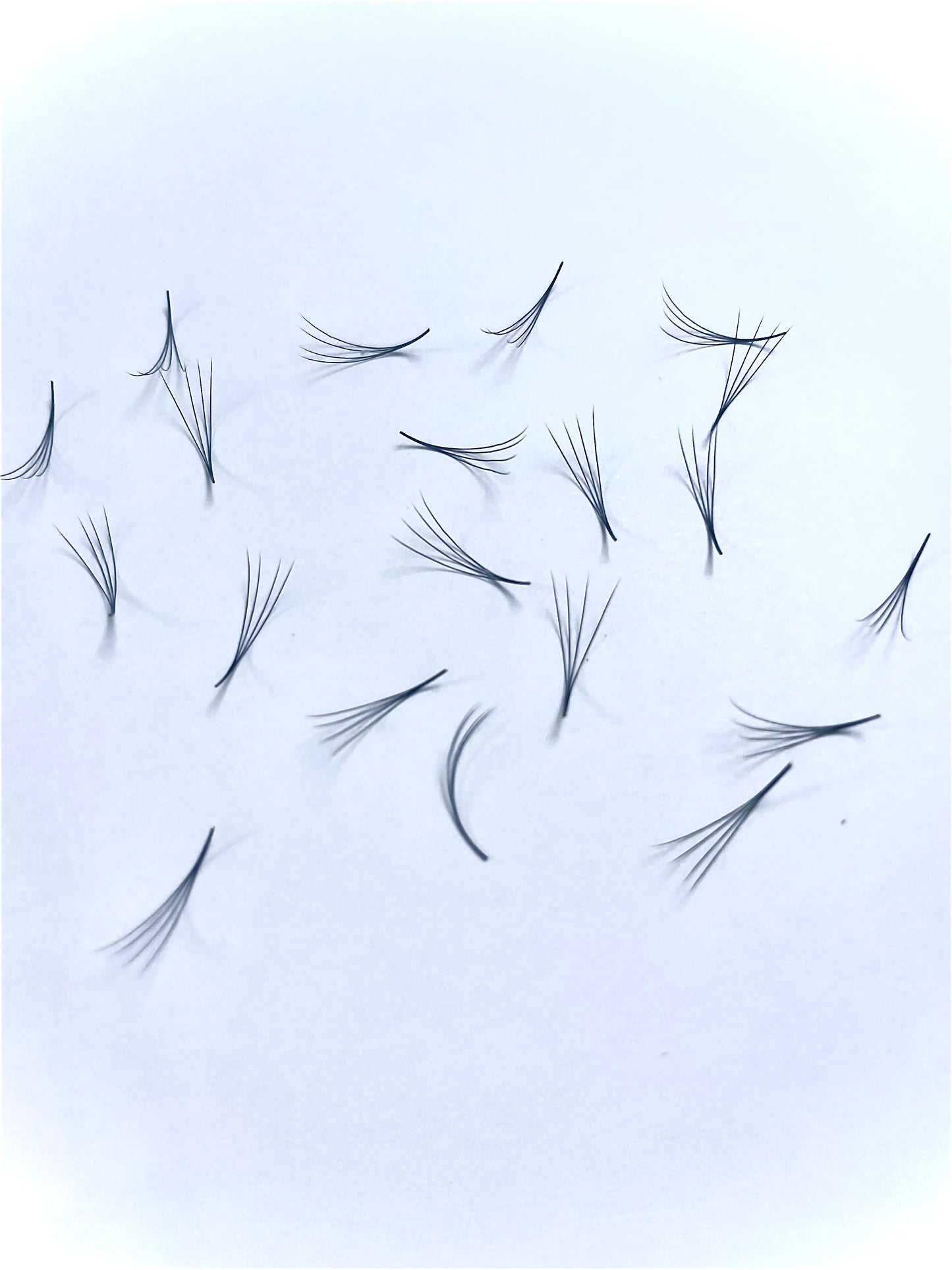 4D Narrow - Pointy Base Loose Fans