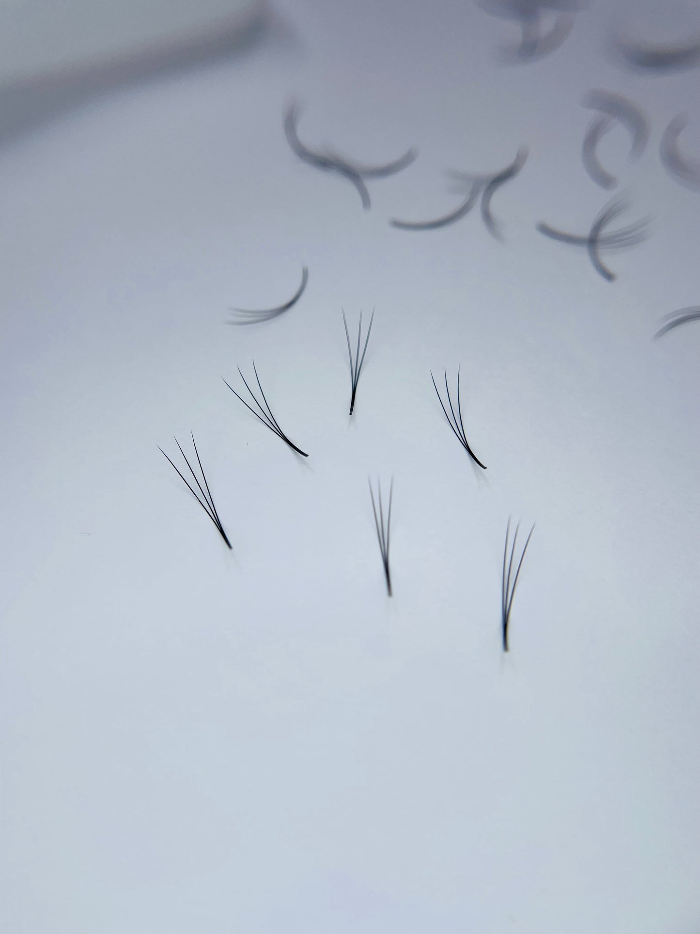 3D Narrow - Pointy Base Loose Fans