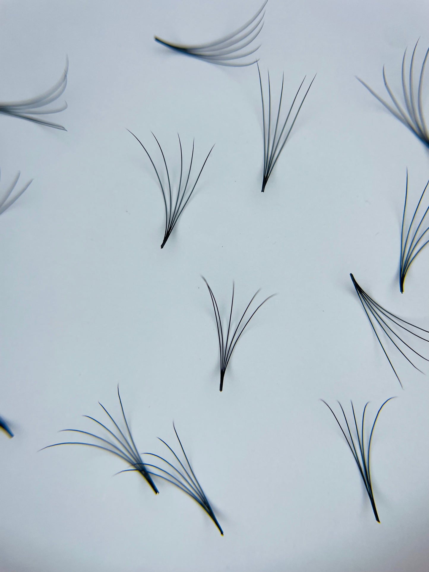 5D Promade - 1000 Loose Fans
