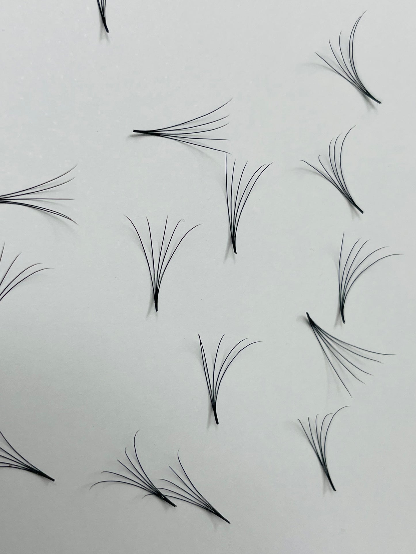 5D Promade - 1000 Loose Fans
